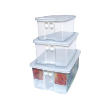 Conjunto de alimentos rectangulares de 3 pzs.